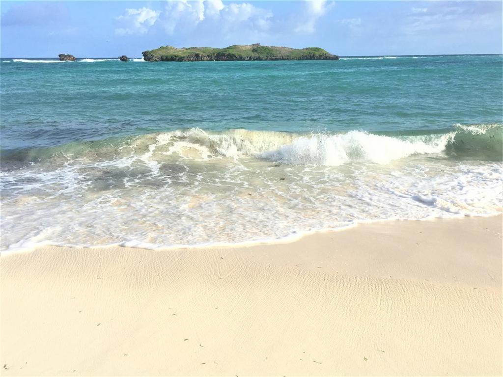 Watamu, Nestled Between Pristine Beaches And Lush Tropical Forest Ξενοδοχείο Εξωτερικό φωτογραφία